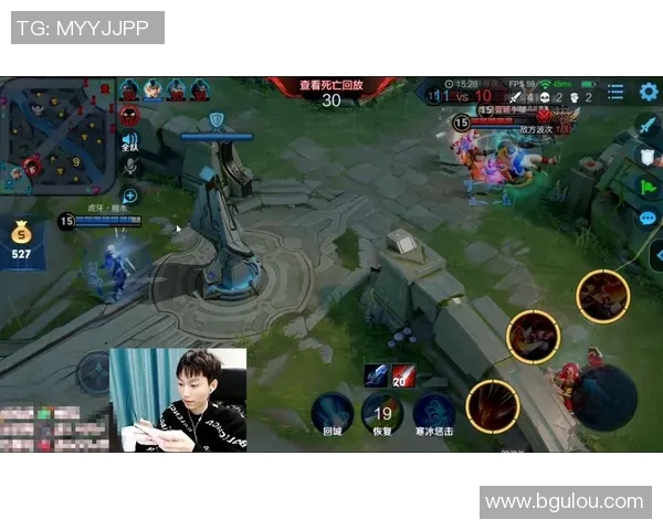 王者荣耀战术解析V5战队阵地战体系的成功之道与策略探讨